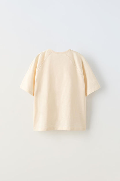 Beige Slub Knit Raglan Sleeve T-Shirt